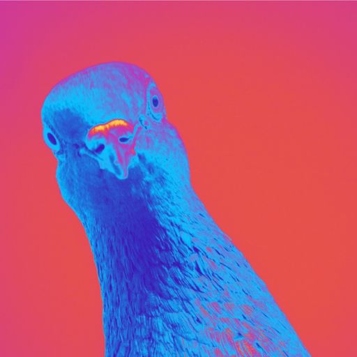 Pigeon w/ Antonio at WAV | 03-04-25