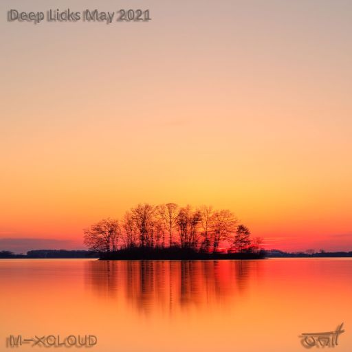 Deep Licks - May 2021
