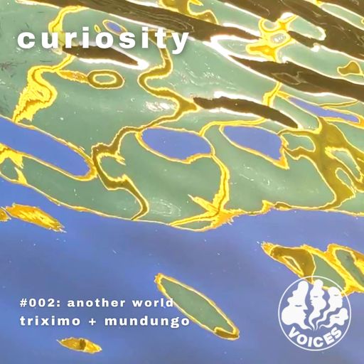 Curiosity w/ triximo & mundungo 11/04/24 - [Voices Radio]
