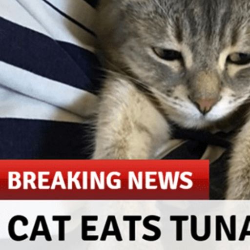 Olba Bueno with Mokes. Special Guest: Couch Tuna (07.18.2025)