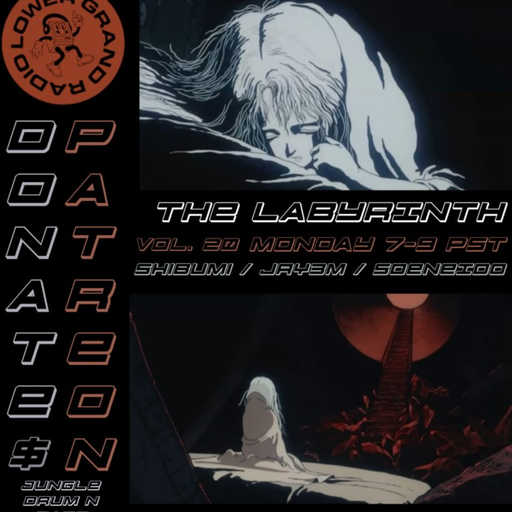 The Labyrinth w/ Soeneido and Jay3m (11.28.22)