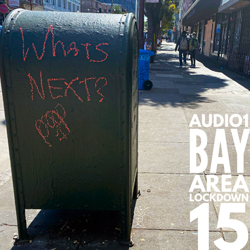 BAY AREA LOCKDOWN 15