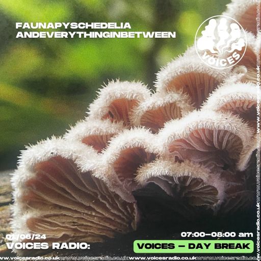 Faunaphyscedeliaandeverythinginbetween w/ funghi - 01.06.24 - Voices Radio