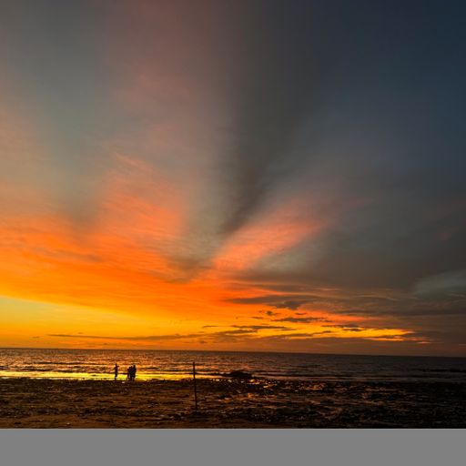 Mimi Géniale - 1 hour in 224 - 9th October 2025