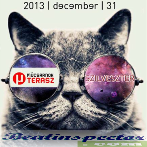 Beatinspector @ MŰCSARNOK - SZILVESZTER 2014