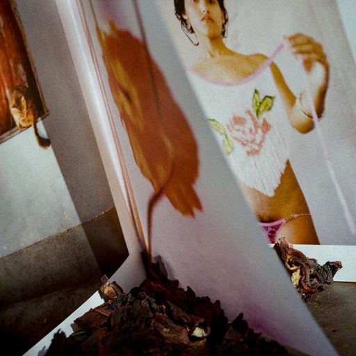 Como La Flor w/ Jazmin: FLOR DE JAMAICA - 15th January 2026