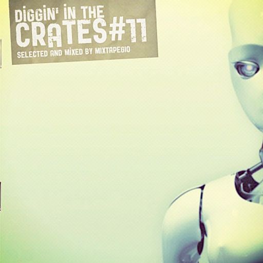 DIGGIN' IN THE CRATES #11