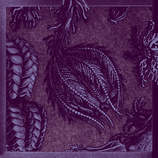 HYPERCABANE - Capsule 26/09/24