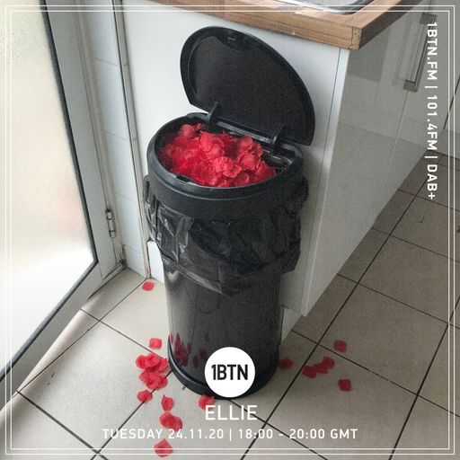 Ellie - 24.11.2020