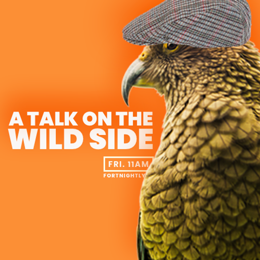 A Talk On The Wild Side - 09/12/2022