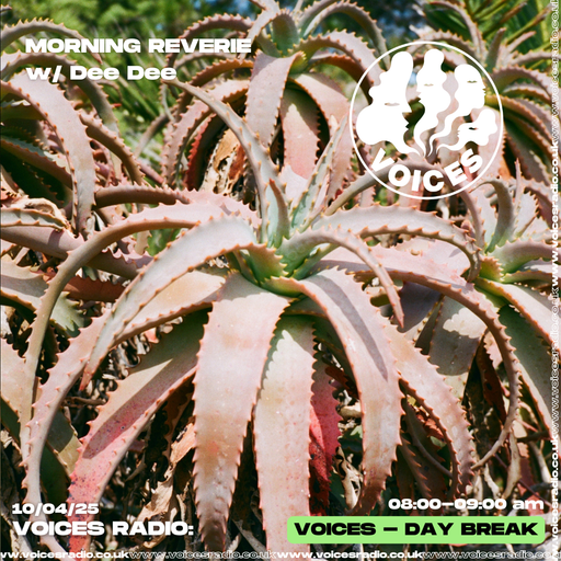 Morning Reverie w/ Dee Dee-  09/12/25 - Voices Radio