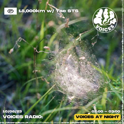 18,000Km w/ Tae STS - 10/08/23 - Voices Radio
