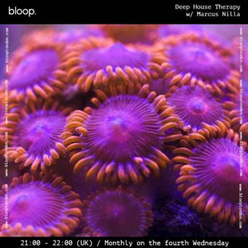 Deep House Therapy w/ Marcus Nilla - 20.12.22