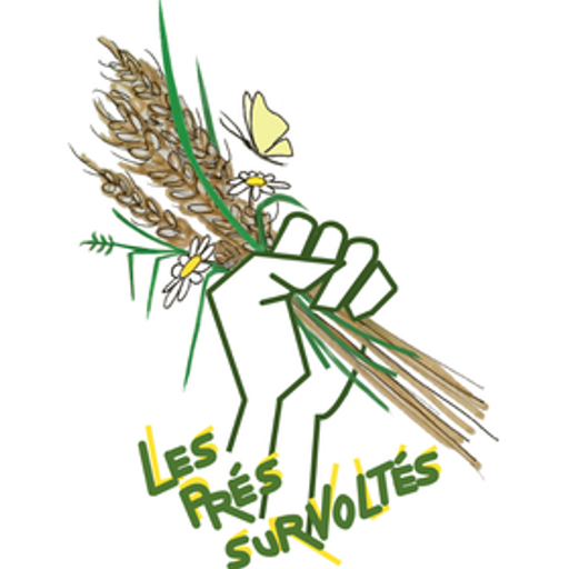 Pres survoltes 2024 11 12