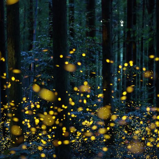 My LateNight Tales part 1