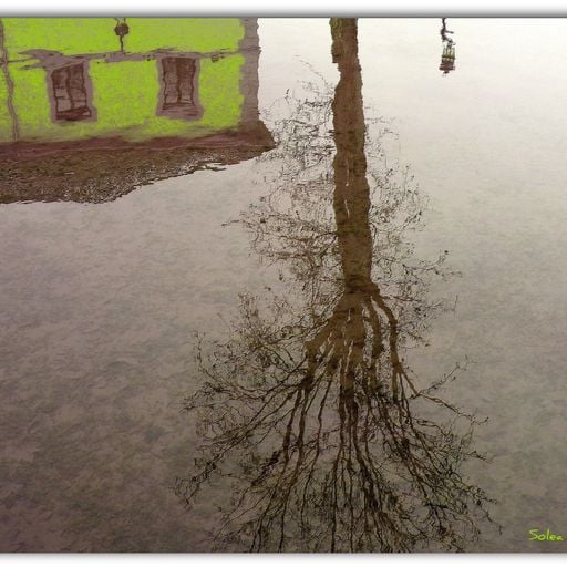 Miroir - Musics of the World 23/03/2025