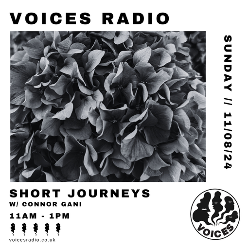 Short Journeys w/ Connor Gani  - 11/08/24 - [Voices Radio]