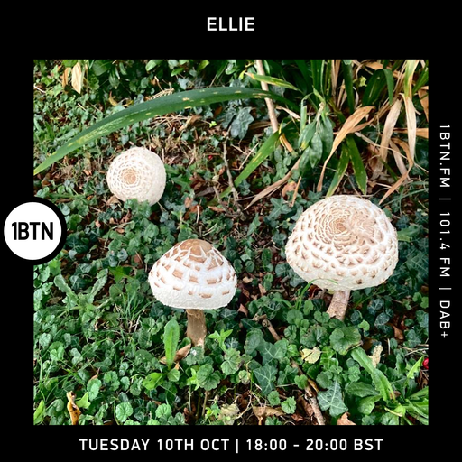 Ellie - 10.10.23