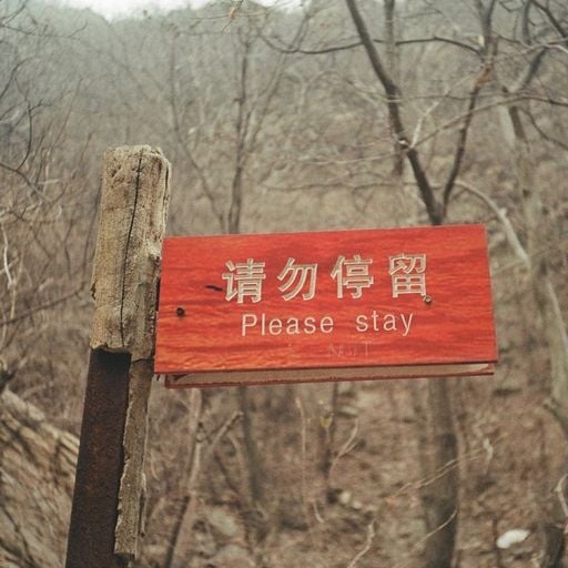 CAR CULTURE - 6th November 2025