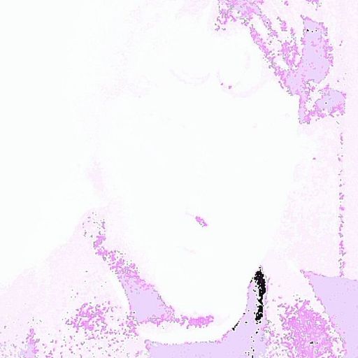 Levantado do Chão w/ Seruca - 29th December 2025