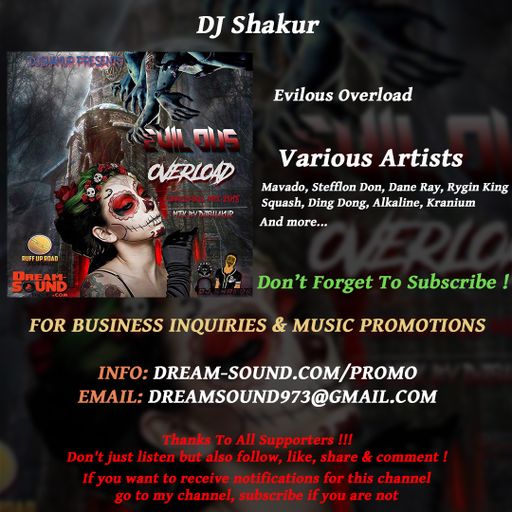 DJ Shakur - Evilous Overload