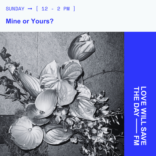 2025-12-07 Mine or Yours | LWSTD-FM
