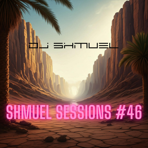 Shmuel Sessions #46 - 6 February 2025