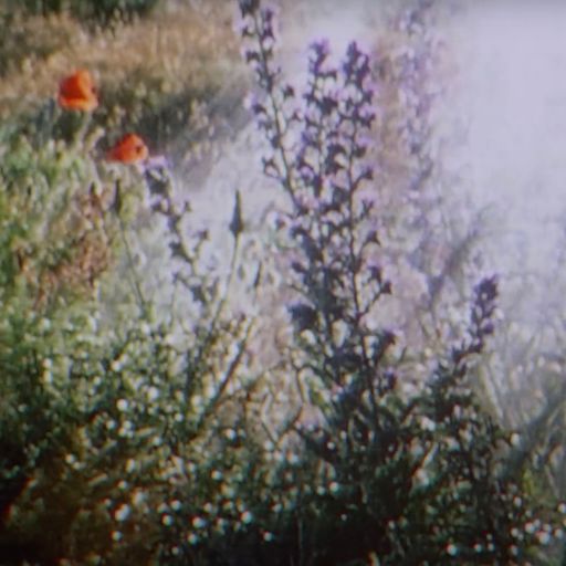 Dawn Chorus w/ Cameroni & Zayn  16/08/24 [Voices Radio]