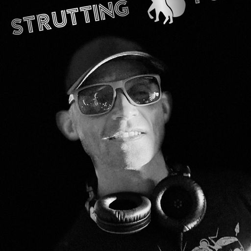 Strutting Fox - Strut Your Stuff! (UDGK: 26/10/2025)