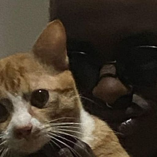 Waya Fyam w/ Prieste$$ TelzzzzZZ - 24th October 2025