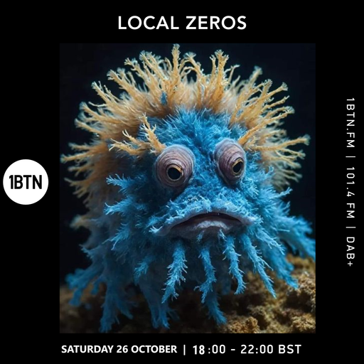 Local Zeros - 26.10.24