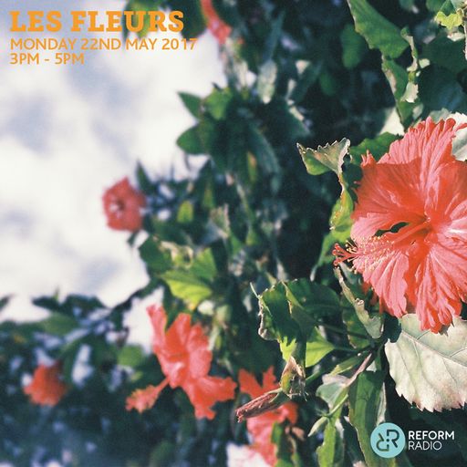 Les Fleurs 22nd May 2017