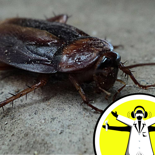 The Yuck Factor: Why We Find Things So Disgusting