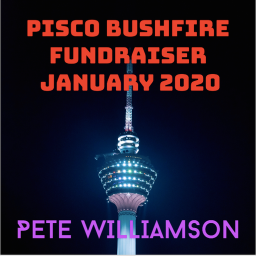 Pisco Fundraiser - January 2020