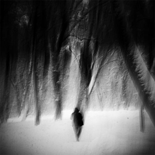 Тhis Long Winter