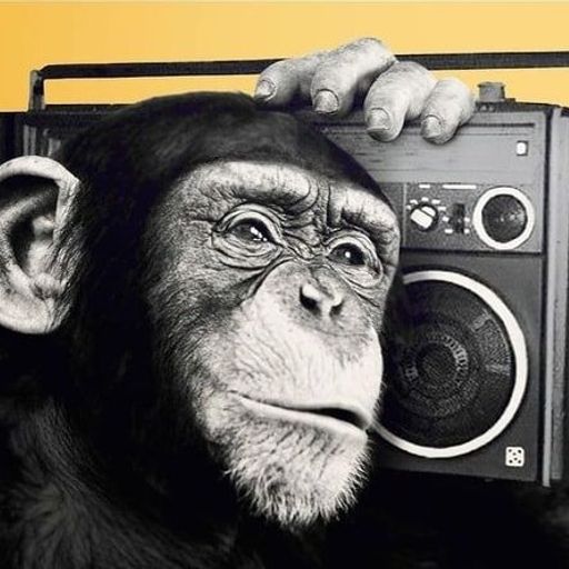 עוד יום 408 - תוכנית הבוקר עם יובל יוספסון - 17.11.19