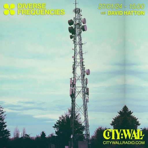 Diverse Frequencies w/ David Hatton - January 2024