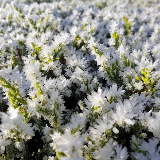 Witching Hour w/ Manta & River - 27/01/23