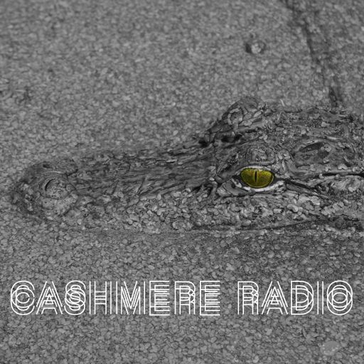 12’ Bar Ramblin’ #36 'More Swamp Blues' (re-recording) with Stefan Matussek 12.02.2019