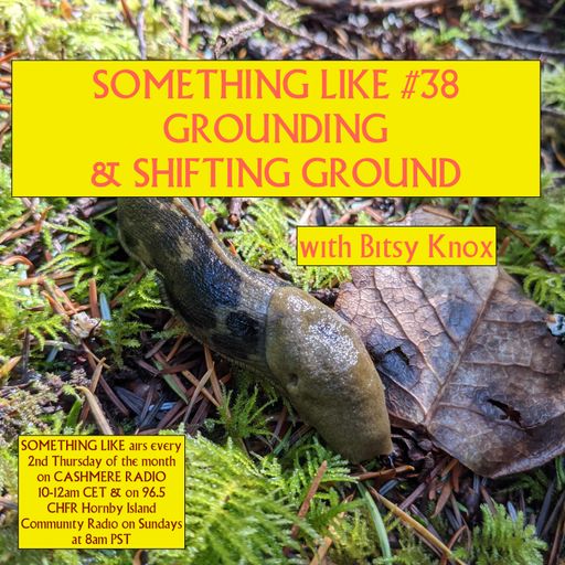 Something Like #38: Grounding & Shifting Ground w/ Bitsy Knox 09.12.2021