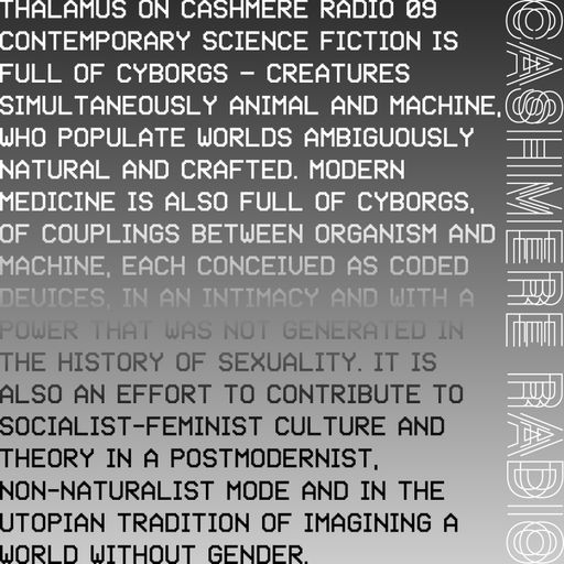 THALAMUS #9 on A Cyborg Manifesto