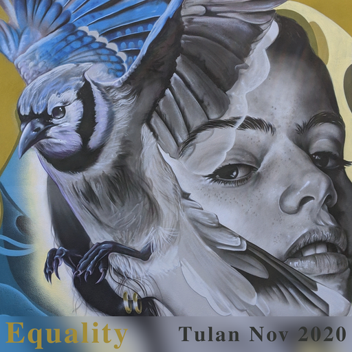 Equality - November 2020