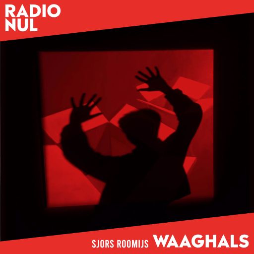 Sjors Roomijs - 1978 - 1980 Punk, New Wave & Powerpop - Waaghals / 11-05-2023