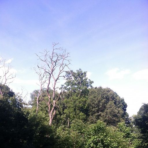 A Month of Sundays w/ Bill Spencer - 12th October 2025