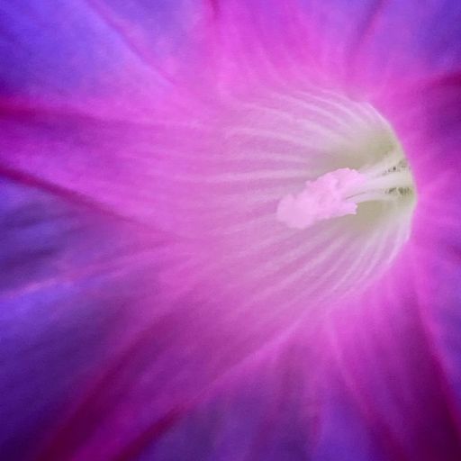 Sleepless for 2 days 21 hours w/ jnin1812 - 29th December 2025