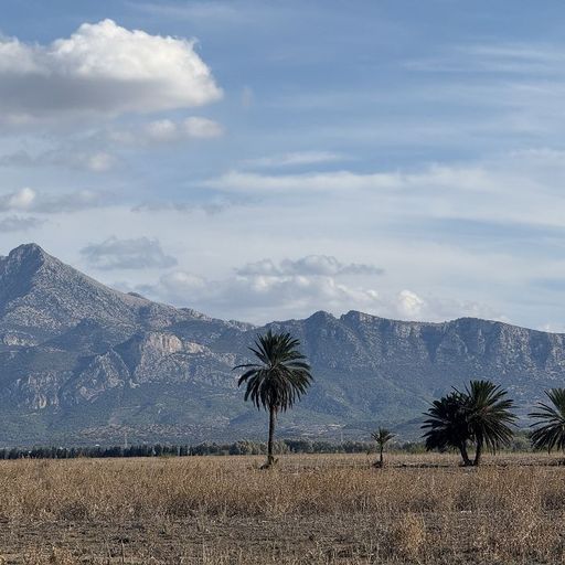 Shakshouka w/ Cheb Mimo - 29th October 2025
