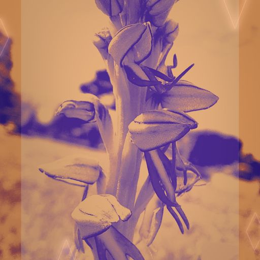 Random Wednesday set (2) (26/06/24)