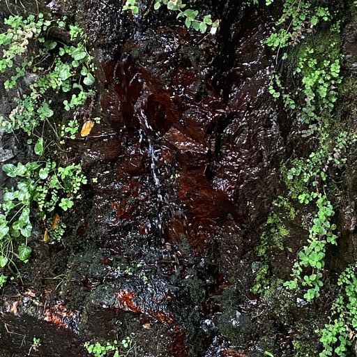 STANLEY - Fugitive Tone invites Omi - 25th November 2025