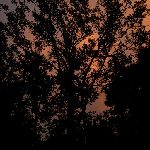 Afterglow