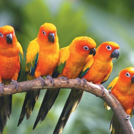 Quietmusic - Complete Three-Hour Program - Feb 15